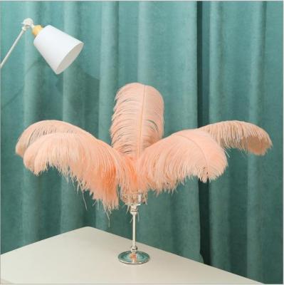 China Wedding Decoration 70-75cm Large Artificial Party Wedding Decoration Plumas for sale