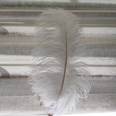 China Wedding Decoration 28-30 Inch Bleached White Fluffy Ostrich Feathers Cheap To Wedding Decoration for sale