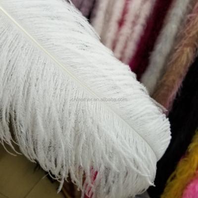 China Decorations Wholesale All Sizes And Shades White Artificial Ostrich Feathers for sale