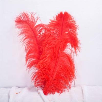 China Decorations Carnival Costume 20-22inch (50-55cm) Dyed Ostrich Feather for sale