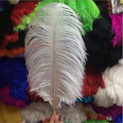 China Wedding Decoration 45-50cm (18-20INCH) Ostrich Feather For Carnival Wedding Decoration for sale