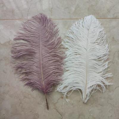 China Wedding Decoration 40-45cm (16-18inch) Customized Color Ostrich Feathers With Good Quality for sale