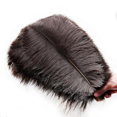 China Home decoration adorn band hats wholesale decorative 35-40cm cheap ostrich craft plumas avestruz feather bulk natural carnival for sale