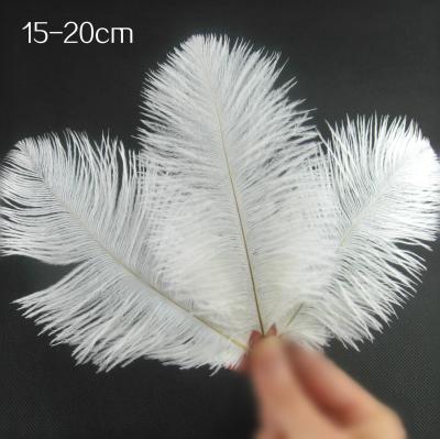 China Decorations 15-20cm (6-8inch) Artificial Ostrich Feathers On Cheap Sale for sale