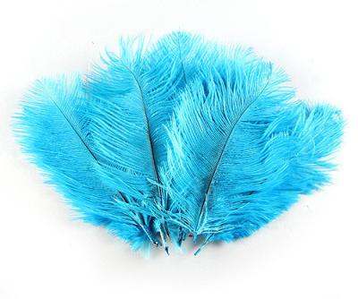 China 100pcs/Pack 6-8INCH (15-20cm) DIY Decorations Ostrich Feather For Hair Headdressing Ornaments for sale