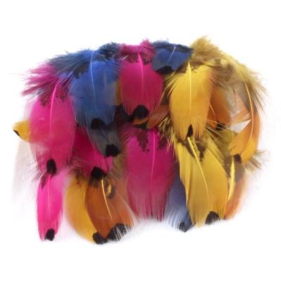 China Decorations 5-8cm Accessories DIY Dyed Handmade Decorative Pheasant Feather for sale