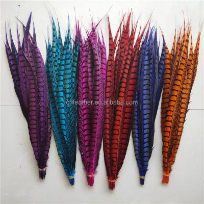 China Party Color Decoration Dyed Lady Amherst Pheasant Tail Feathers 90-100cm (35-40inch) for sale