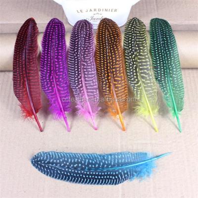 China Bulk Cans Feather Garment and Wedding Decoration Plumage Guinea Fowl Wing Natural Dyed for sale