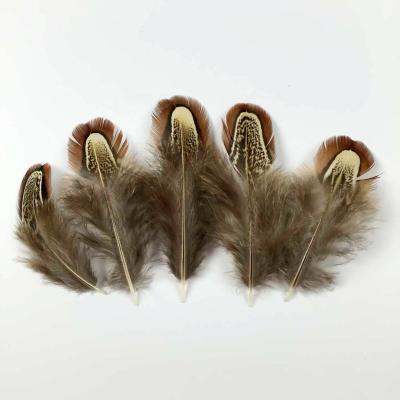 China Party Wedding Wholesale Natural Apparel Decoration Factory Almond Ringneck Pheasant Plumas Feathers For Decoration for sale