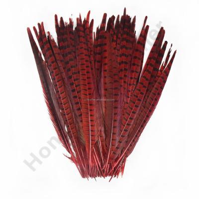 China Party Decoration 8-26INCH RINGNECK PHEASANT TAILS MATCH FEATHER for sale