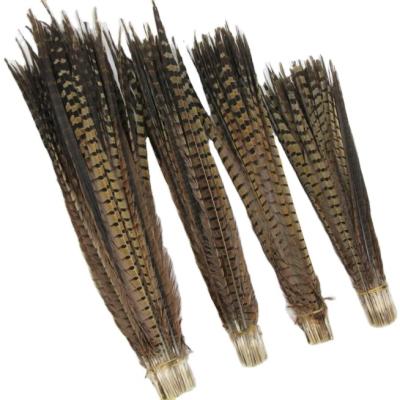 China Party Decoration 24-26INCH RINGNECK PHEASANT TAILS TIMING NATURAL for sale