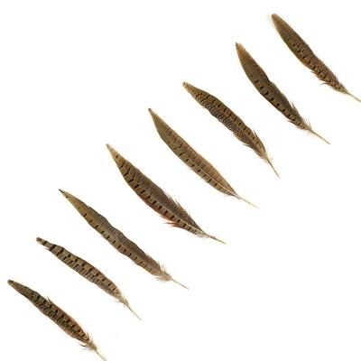 China Feather Fetival Clothing Decoration Cheap Sale 8-10 Inch Natural Ringneck Tail Pheasant Feathers For Festival Costumes for sale