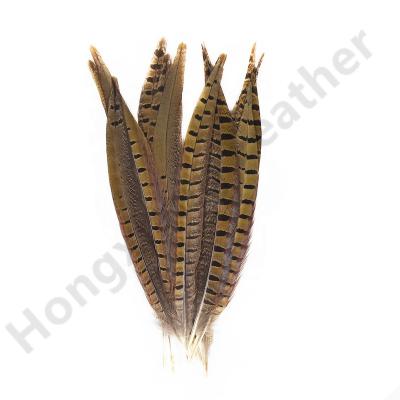 China Feather featival clothing decoration cheap sale 10-12 inch natural Ringneck tail pheasant feathers for festival costumes for sale