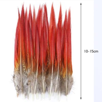 China Carnival 20-25cm Golden Pheasant Feathers For Carnivals Headressing for sale