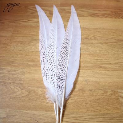 China Carnival pheasant silver tail feather for decoration and costume for sale