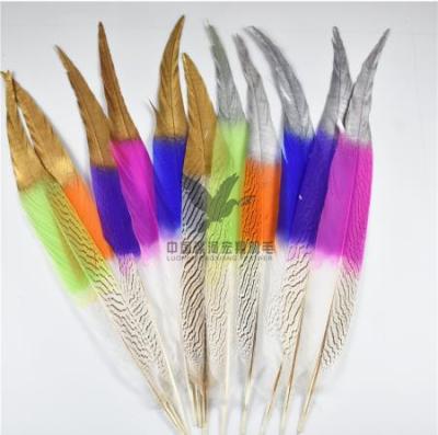 China Decorations 60-65cm Colored Gold Tipped Silver Pheasant Feather for sale