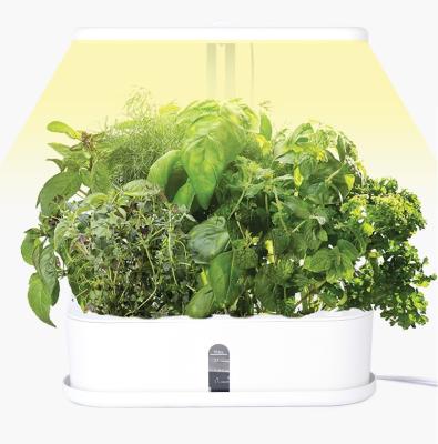 China Halo-01 Small Indoor Plants Hydroponic Plants Indoor Plants Led Growing Lamp For Indoor Plants for sale