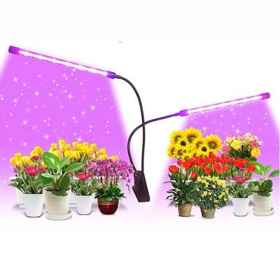 China Greenhouse Industry Grow Greenhouse Plant Grow Dual Head Timing Dimmable LED Plant Grow Lights Balance Light For Indoor Plants With Red Blue Spectrum for sale