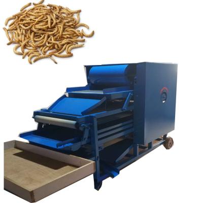 China Tenebrio molitor multifunctional dust-proof vibration sieving machine barley worm separator Tenebrio molitor separating machine for sale