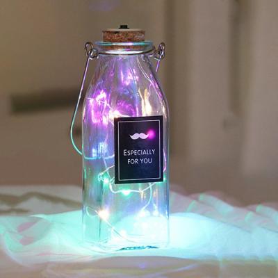 China Daily Life Lighting Glass Bottle Battery Glass Wishing Bottle Night Light Firefly Bottle Glowing Lamp for sale