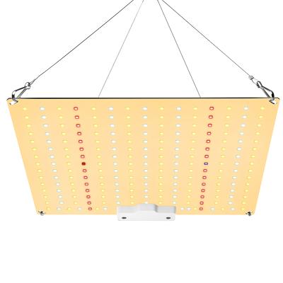 China Seed Starting LED 2021 Grow Light With Wire 600W Full Spectrum Hanging Plant Grow Lamp Grow Light LED With Clip for sale