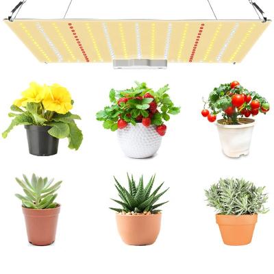 China Seed starting free logo cheapest 2021 newest 600W led grow light sulight for indoor greenhouse for sale