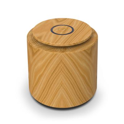 China 2020 New Design Car USB 13Grade Hepa Portable Carbon Wood Filter Smart Home Air Purifier for sale