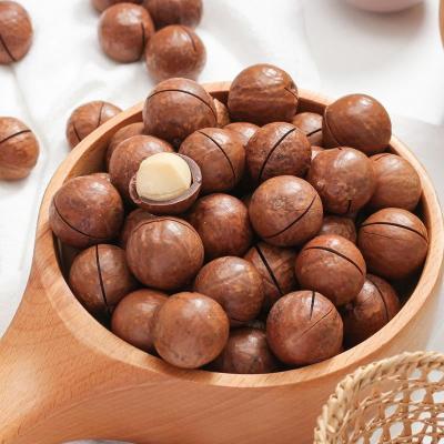 China Organic Best Seller Dried Australian Hazelnuts and Common Nuts for Sale for sale