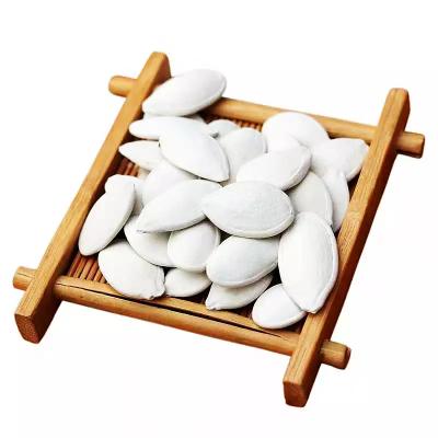 China Large Size Chinese Snow Dry White Pumpkin Seed With Wholesale Price for sale