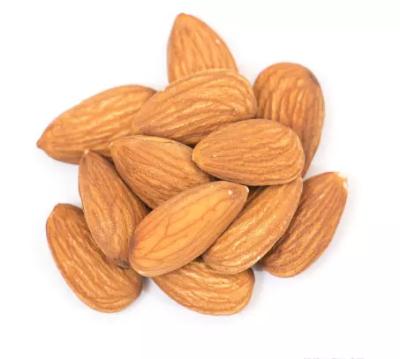 China Buy Dried Almonds - Almond Nuts - Raw Bitter and Sweet Kernels - Bulk Ships A Grade Dried Organic Cultivation for sale