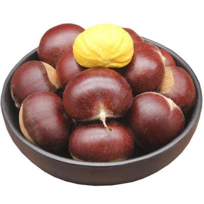 China 100% dried good quality fresh chestnuts / organic chesnuts for export for sale