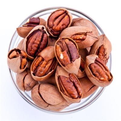 China High Quality Grade Dry Raw Organic Pecan Nuts Fresh Crop for sale