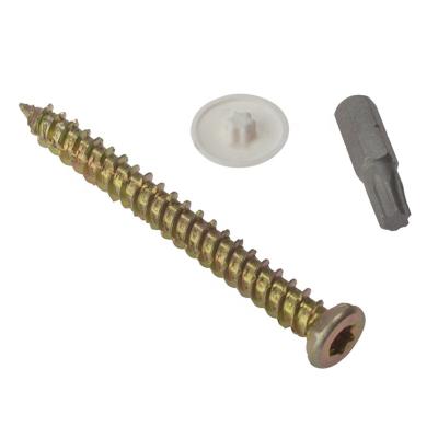 China Concrete Flat Head Flat Torx Recess Screws for sale