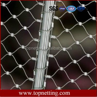 China Plain Weave Flexible Metal Mesh Netting, Aviary Cage Wire Mesh, Flexible Netting for sale