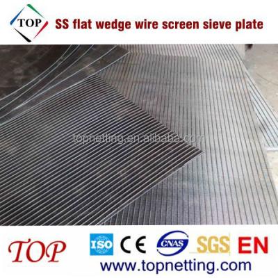 China Corrosion Resistance Stainless Steel Wedge Wire Screen Flat Sieve Plate for sale