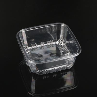 중국 Clamshell Blister Packaging Tray Customized Disposable Clear 판매용