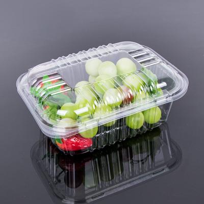 China caja plástica disponible de la comida del 14cm en venta