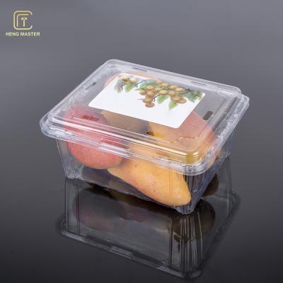 Chine Clairement conteneurs en plastique jetables de fruit de 19.5*16*9cm à vendre