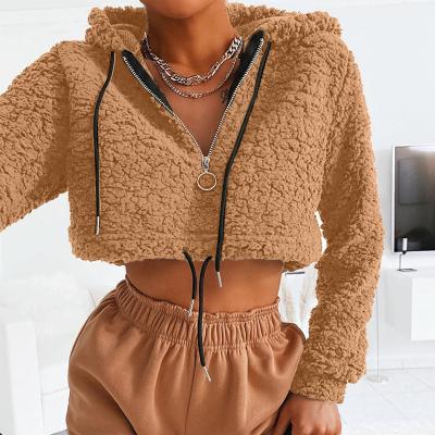 China 2021 High Quality Breathable Winter Zipper Woolen Hoodies Long Sleeve Croptop Hooded Fashion Fleece Wholesale Hoodie for sale