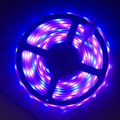 China Lighting String Lights 5M Outdoor Waterproof 12V Pixel WS2811 IP68 RGB 5050 Led Strip for sale