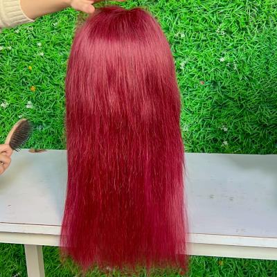 China 28 Inch Silky Straight Wave Red Blonde Hair Lace Front Wig,Blonde Hair Wigs Hair Lace Front,Pink Lace Front Wig 9a for sale