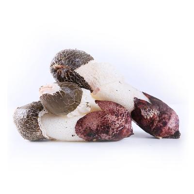 China Wholesale High Quality Nutritious and Healthy Shiitake Mushroom Fresh Dictyophora Fresh for sale