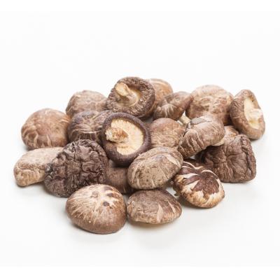 China Cheap Custom Dried Hot Sale High Quality Dried Shiitake Mushroom for sale