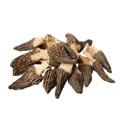 China Wholesale dry nutritious and healthy mushroom food dried nightshades sprout for sale