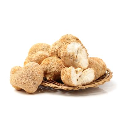 China Popular Hot Sale Dry Delicious Shiitake Mushroom Dried Hericium for sale