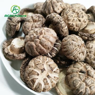 China Custom 100g/300g/400g dry mushroom shiitake bags premium 3-4cm dry mushroom shiitake for sale for sale