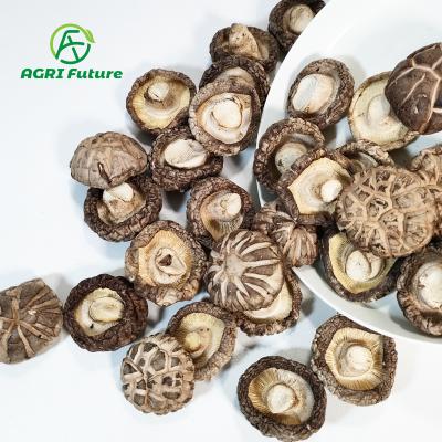 China Selling dry mushroom dry shiitake mushroom for sale