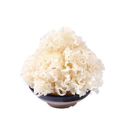 China Spot Fresh Wholesale Fresh Hydrangea Mushroom Soup Ingredients Cauliflower Sourcing Edible Mushroom for sale