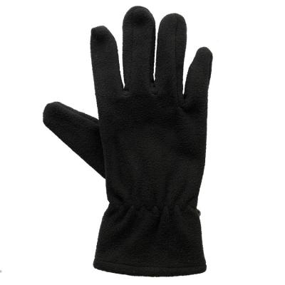 China Sale Men's And Ladies' Winter Basic Style Warm Windproof Fleece Sport Glove for sale