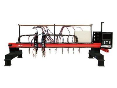 Китай Автомат для резки плазмы CNC прокладки высокоскоростной Multi-Головки вертикальный для промышленного продается